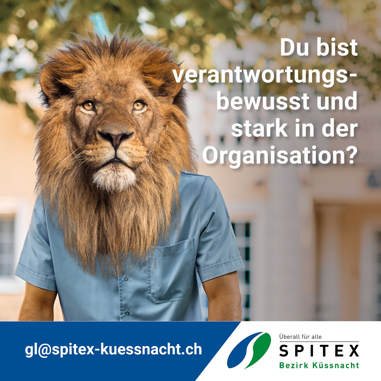 Spitex Küssnacht Social Media Kampagne-6