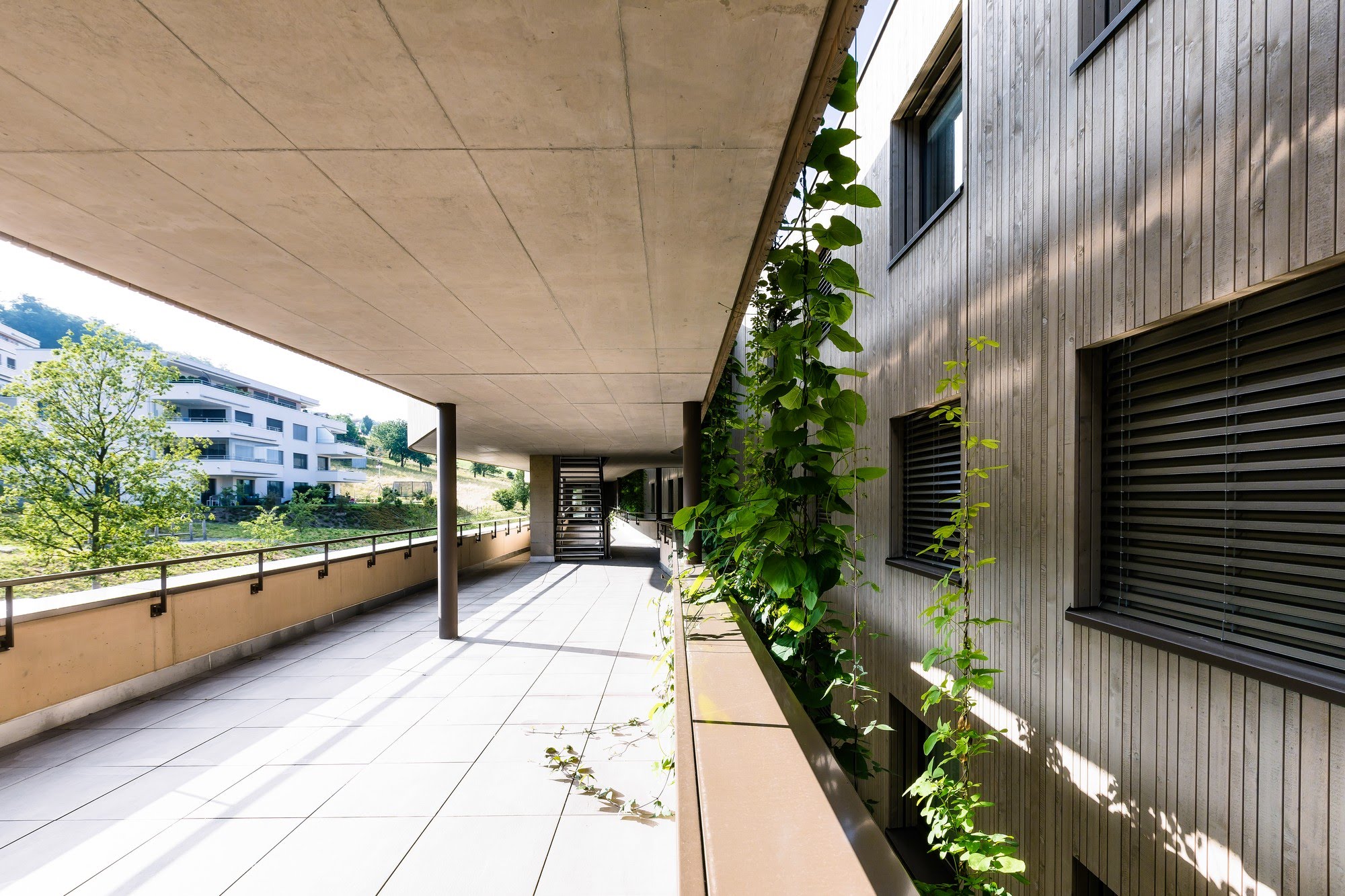 Wohnen MFH Wohnüberbauung Dorf in Schenkon Architektur,Wohnungsbau,Wohnhäuser,Einfamilienhäuser,Mehrfamilienhäuser