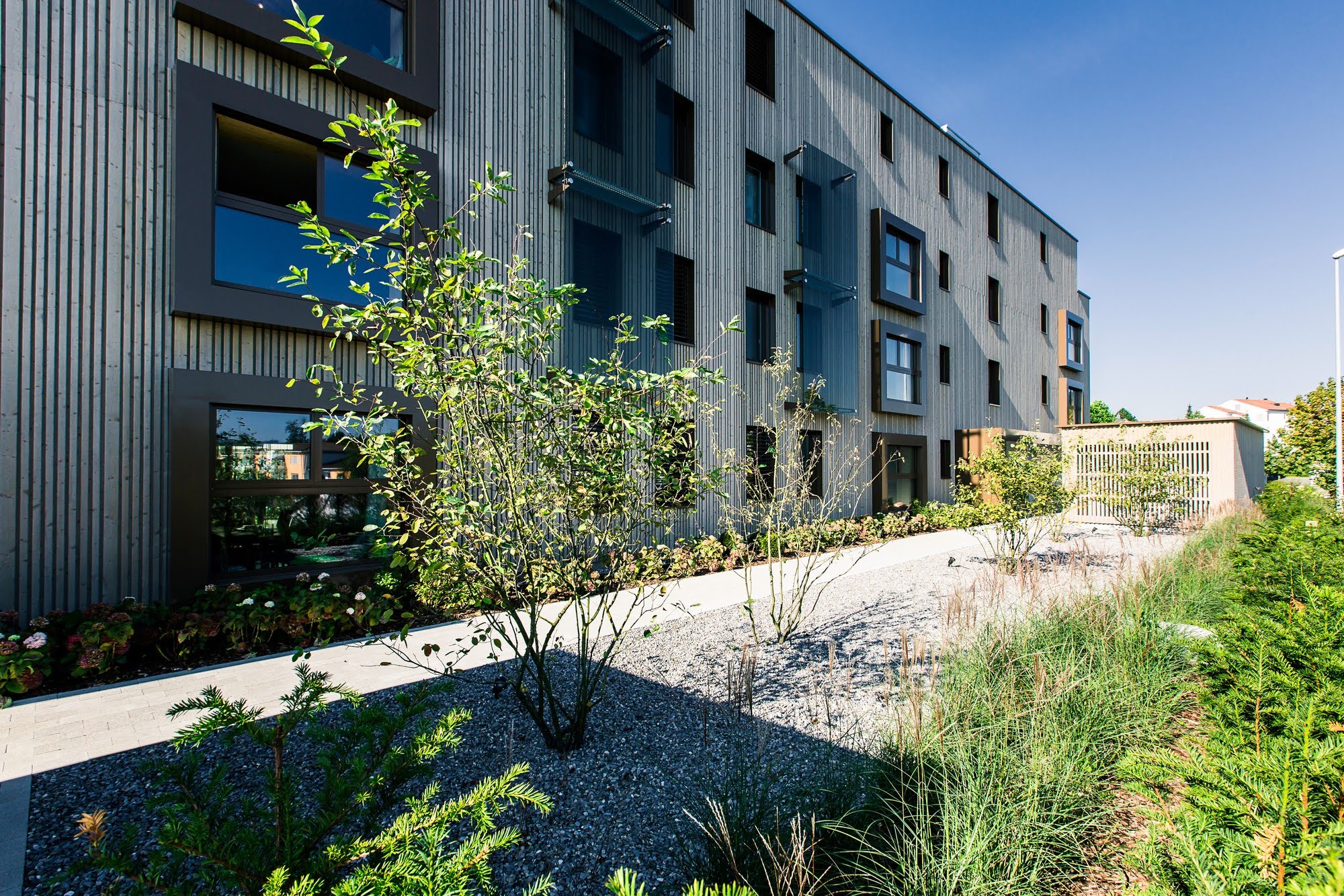 Wohnen MFH MFH Chotte in Mauensee Architektur,Wohnungsbau,Wohnhäuser,Einfamilienhäuser,Mehrfamilienhäuser