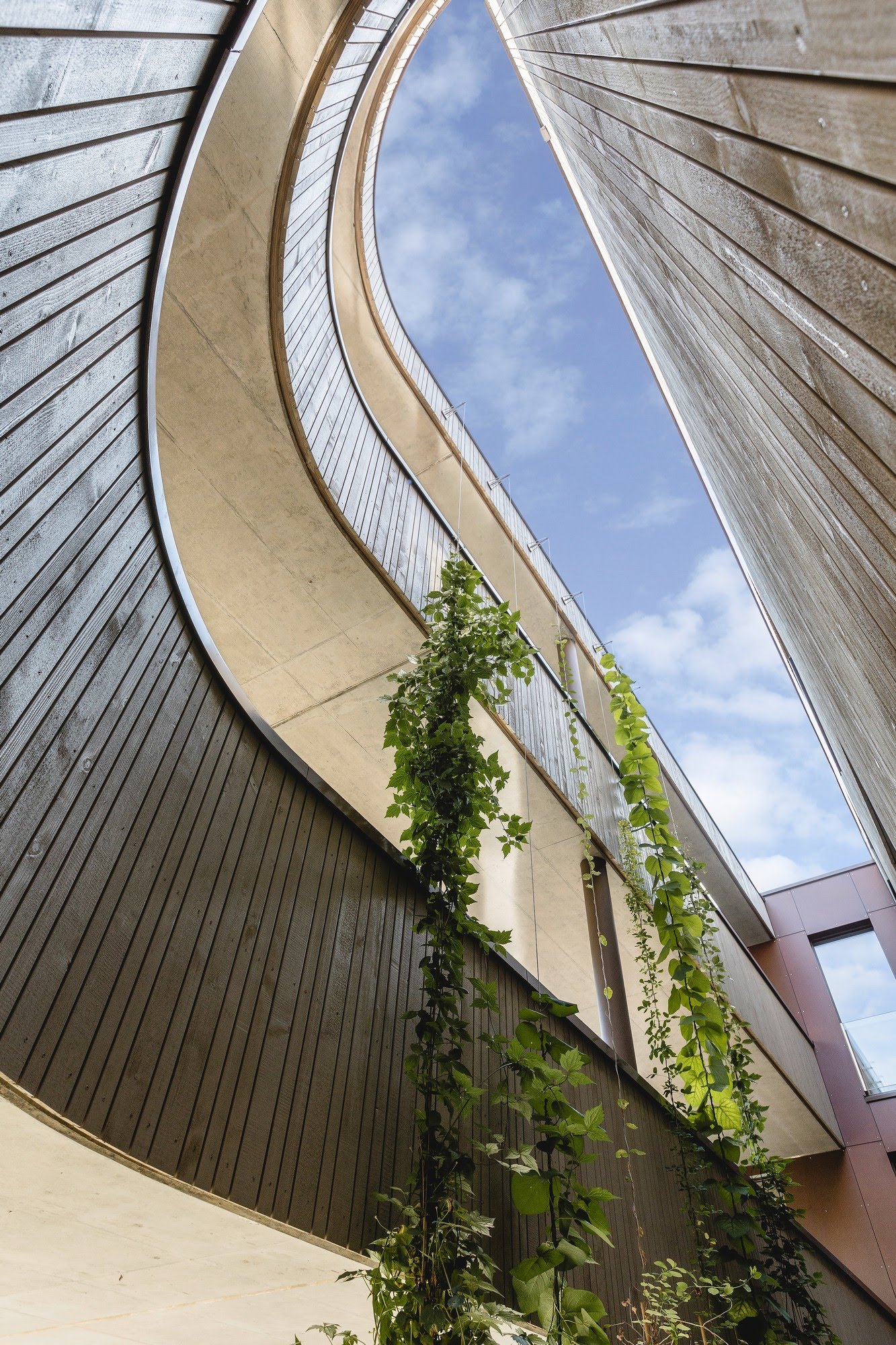 Wohnen MFH Wohnüberbauung Dorf in Schenkon Architektur,Wohnungsbau,Wohnhäuser,Einfamilienhäuser,Mehrfamilienhäuser