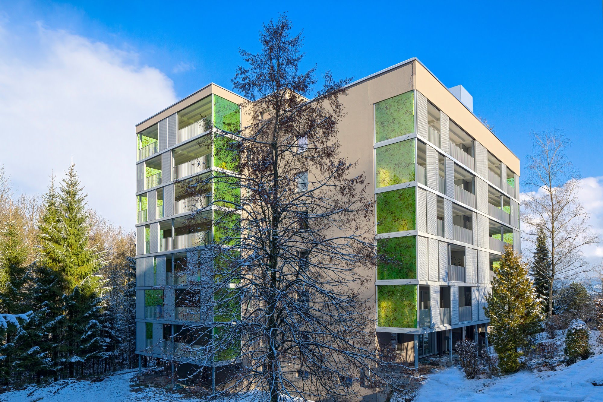 Wohnen MFH,Umbau,Sanierung Fassadensanierung und Balkonersatz Architektur,Wohnungsbau,Wohnhäuser,Einfamilienhäuser,Mehrfamilienhäuser