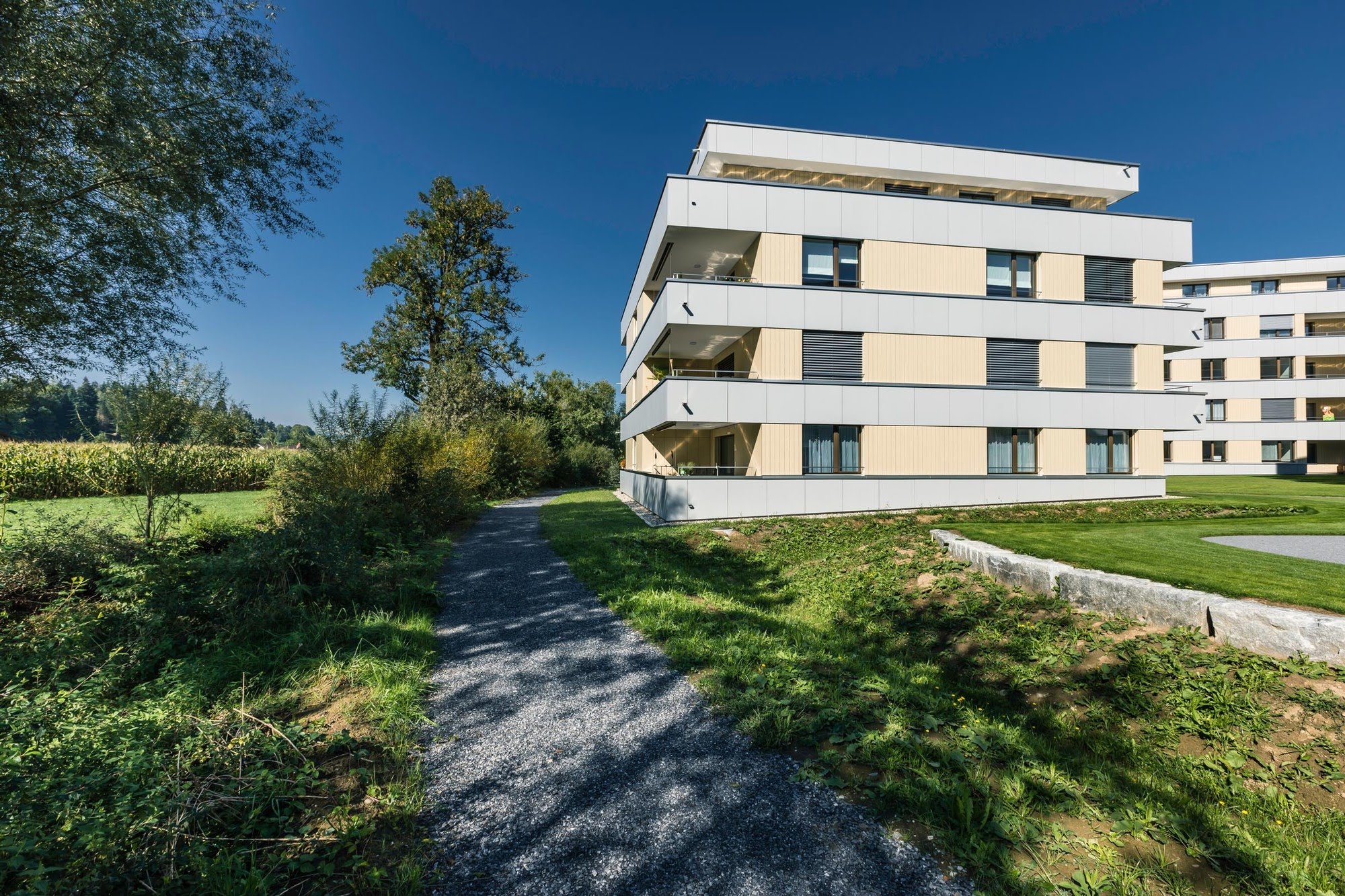 Wohnen MFH Wohnüberbauung Freiehof in Ruswil Architektur,Wohnungsbau,Wohnhäuser,Einfamilienhäuser,Mehrfamilienhäuser