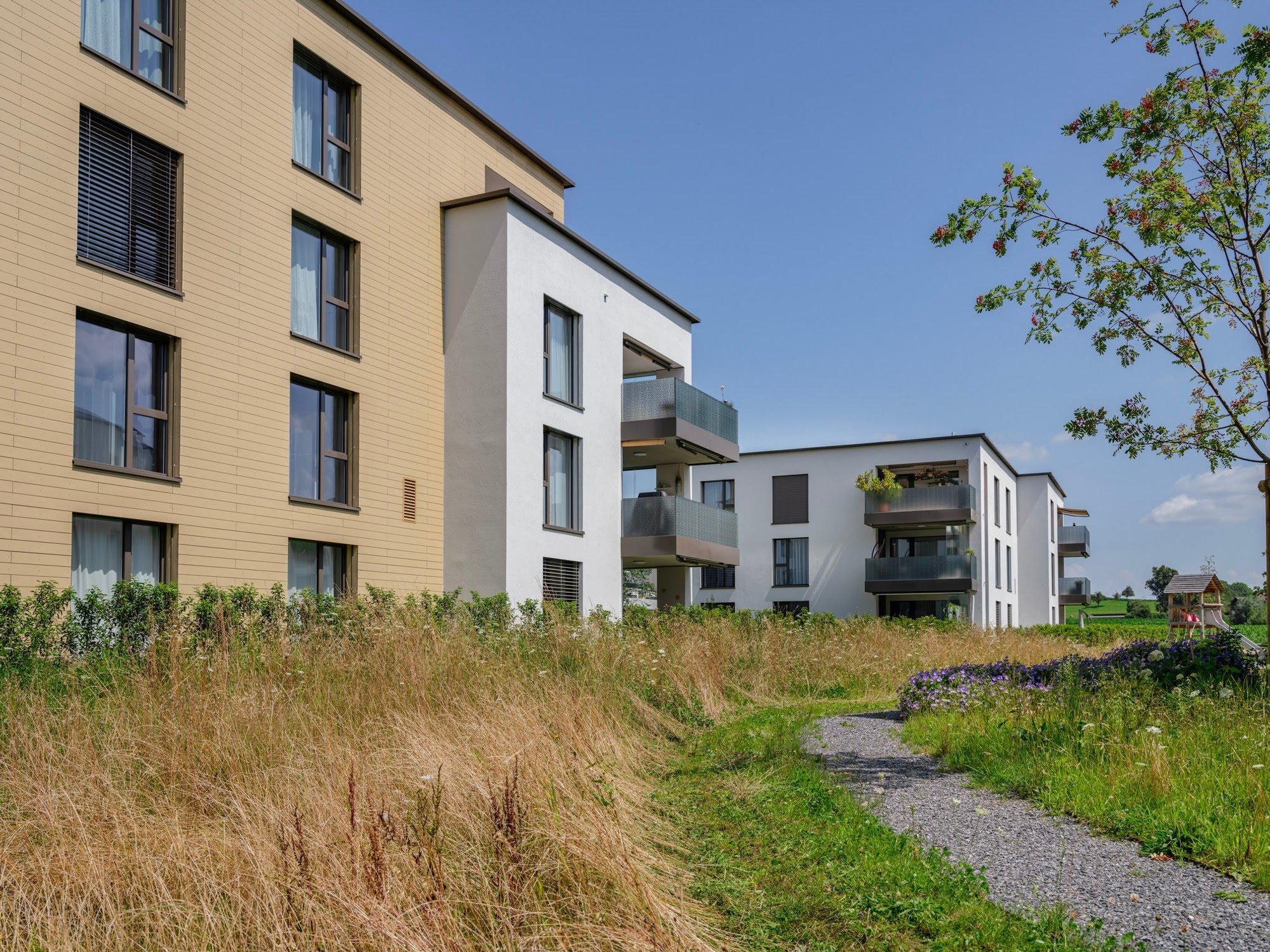 Wohnen MFH Wohnüberbauung Windbüelpark in Ruswil Architektur,Wohnungsbau,Wohnhäuser,Einfamilienhäuser,Mehrfamilienhäuser