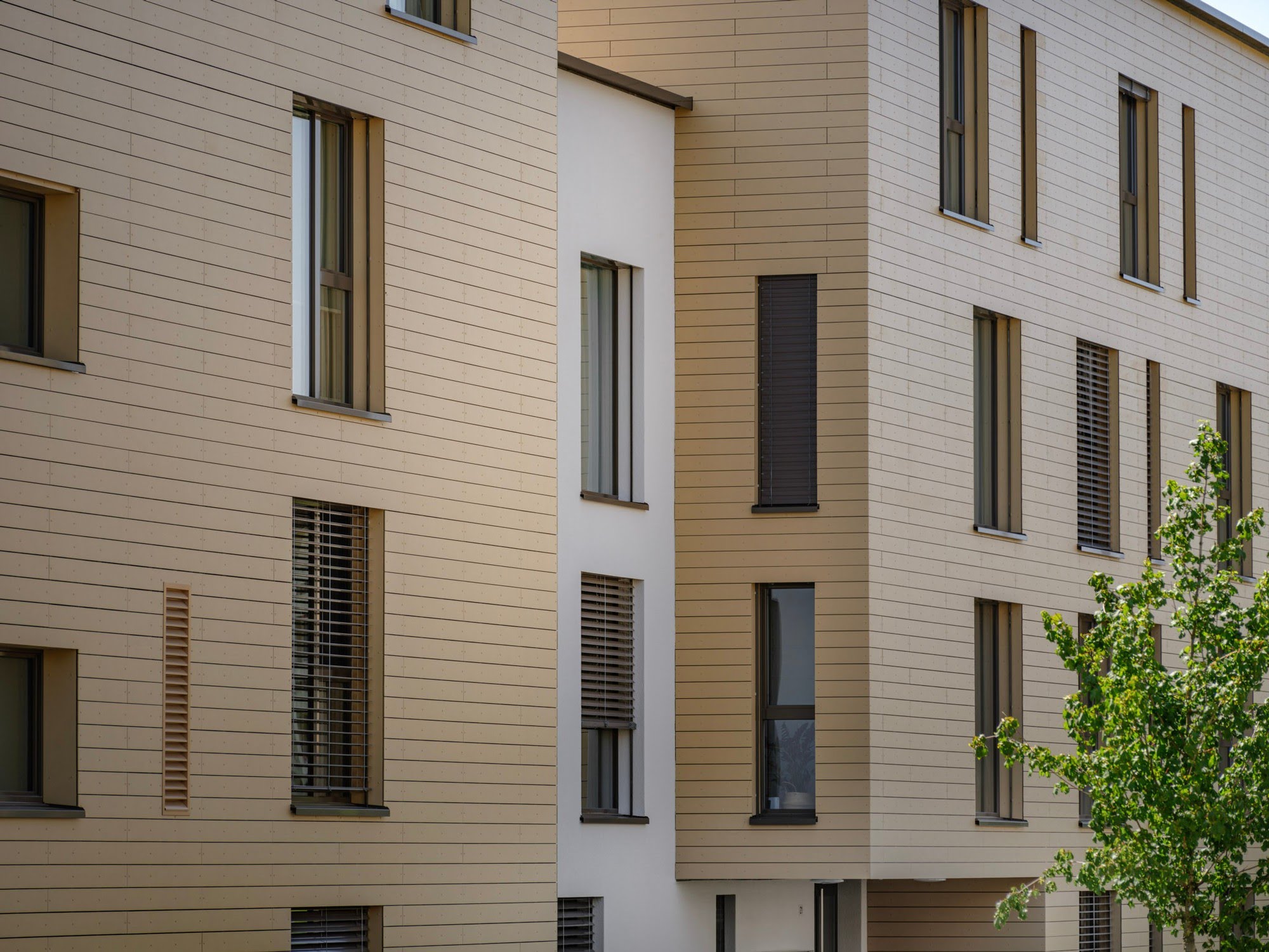 Wohnen MFH Wohnüberbauung Windbüelpark in Ruswil Architektur,Wohnungsbau,Wohnhäuser,Einfamilienhäuser,Mehrfamilienhäuser