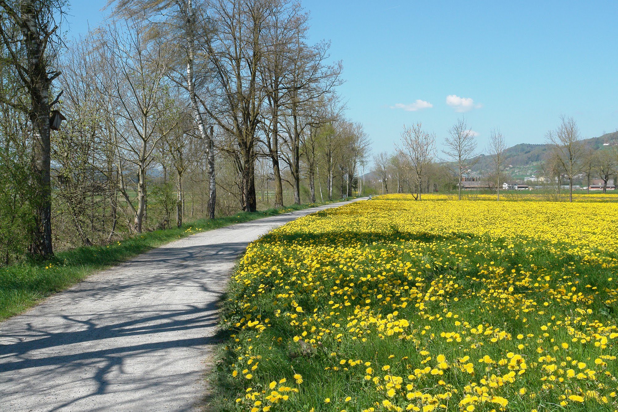 Geuensee