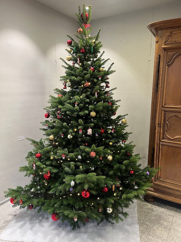 Weihnachtsessen 29.11.2024